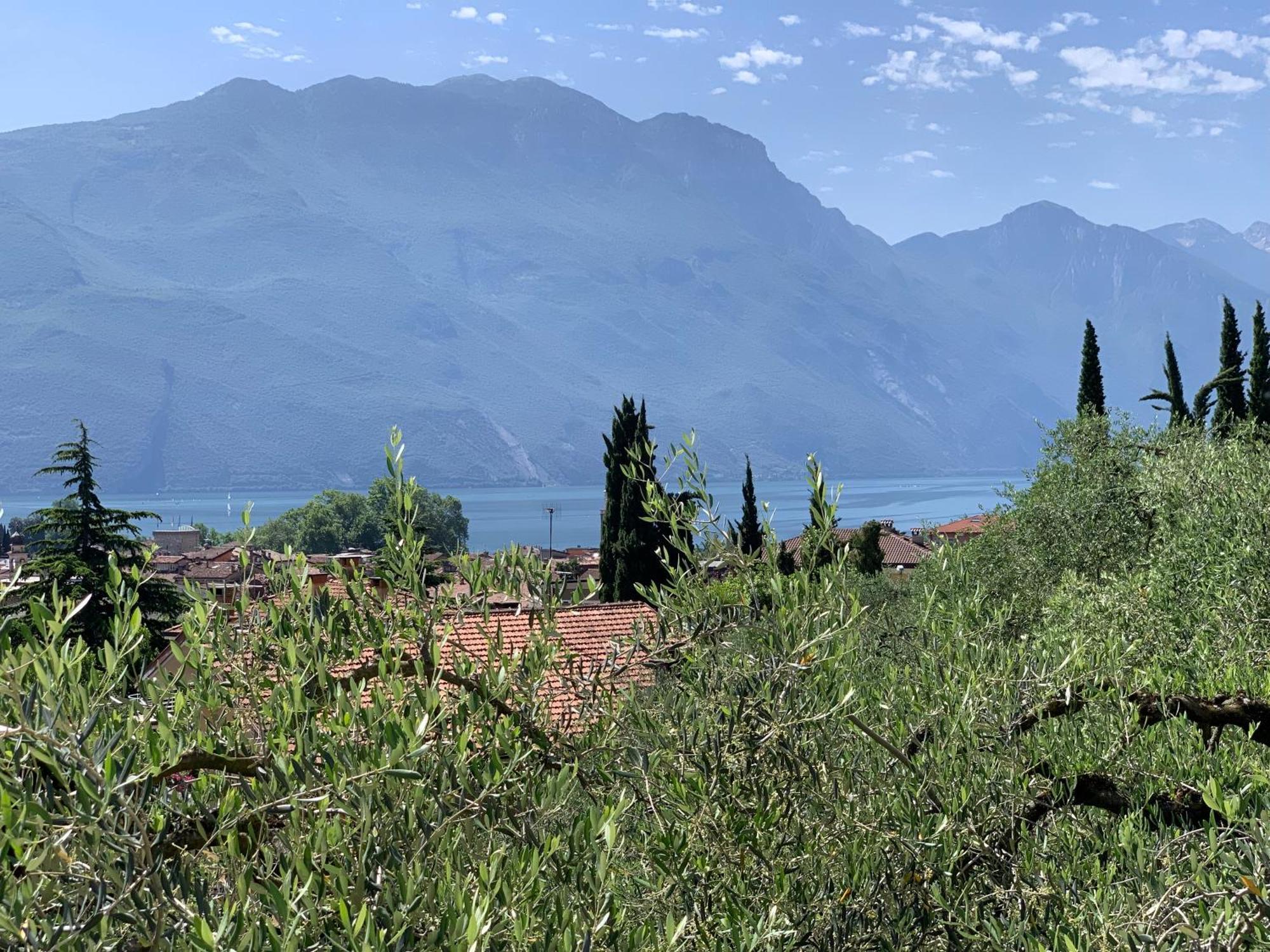 Aparthotel Englovacanze Riva del Garda Eksteriør billede